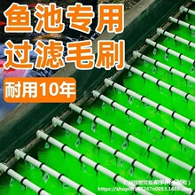 �~���^�Vëˢ�^�V���ϾGɫʮ��ëˢ��������~���Bֳ�\���ز���