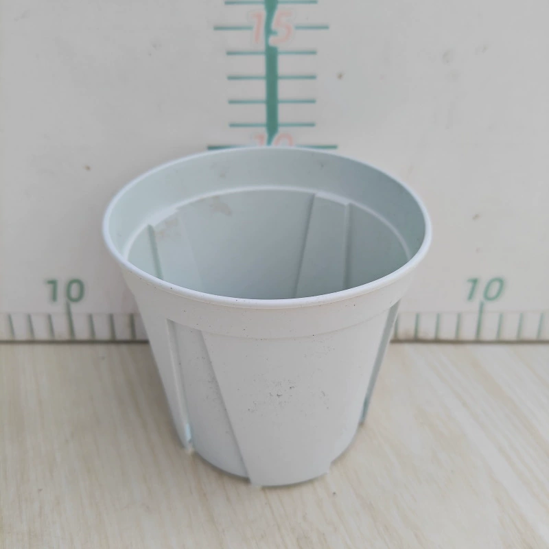 При заказе цветочного горшка и растения по умолчанию заменяется соответствующим цветочным горшком.