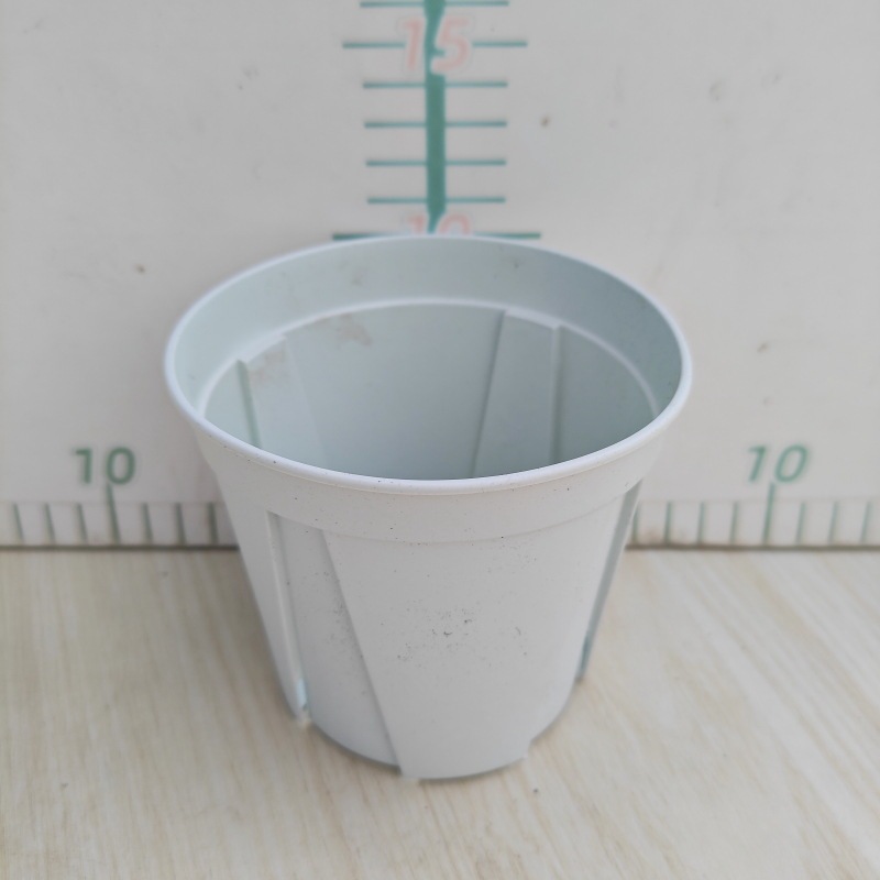 When placing an order with a plant, the flowerpot will be replaced by the corresponding flowerpot by default. Please do not shoot it alone! When placing an order with a plant, the flowerpot will be replaced by the corresponding flowerpot by default. Please do not shoot it alone!