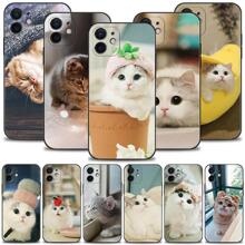 ����ƻ���ֻ��ǿɰ���èСè 0��ɫTPU���Ǳ�����iPhone 17 15 14