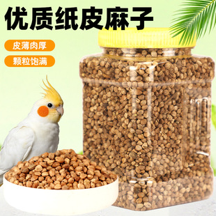 ���������W�^�Z����С̫ꖺ��л�Ƥ�W�^�����Bʳ���w����Ƥ����