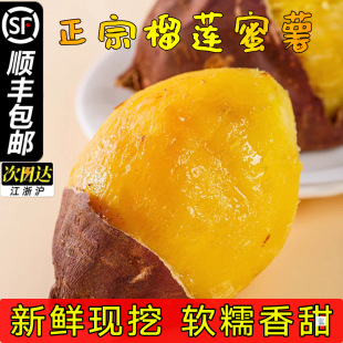 ������ɏ�����z�t�����ķ������rܛŴ���𿾹�3/5���b