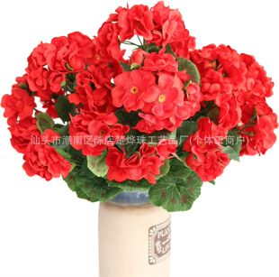 �羳���R�d���N���滨���Ļ��ٻ���c�Ҿӿ͏d�����b����ÿ��z��