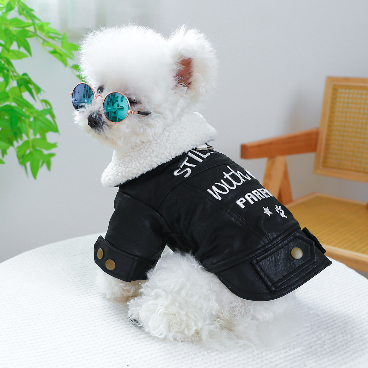 PETCIRCLE 애완동물 의류, 강아지와 고양이 옷, 중소형견용 두꺼운 면옷, 대형견용 가죽옷