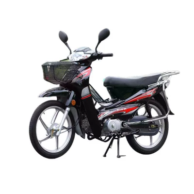 Long Endurance Motorcycle, Motosikletlər
