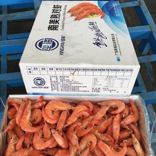 ���l�r��������r�������r���r����캣�r���r���r�͏d������ʳ��