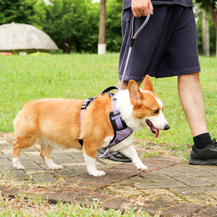 Pet chest strap traction rope outdoor travel close-body reflective large dog explosion-proof dog rope dog chain collar
