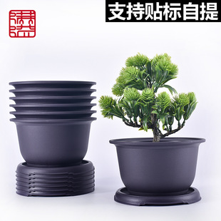 ����ɰ�A�λ��� ����ƴ�P���� С����С�辰���ϻ��� �͹Ż���