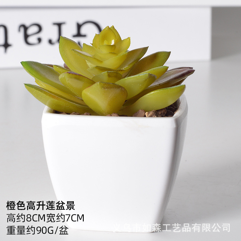 Simulación de plástico carnoso bonsai flor falsa combinación oficina interior escritorio plantas verdes pequeños adornos plantas artificiales al por mayor image 10