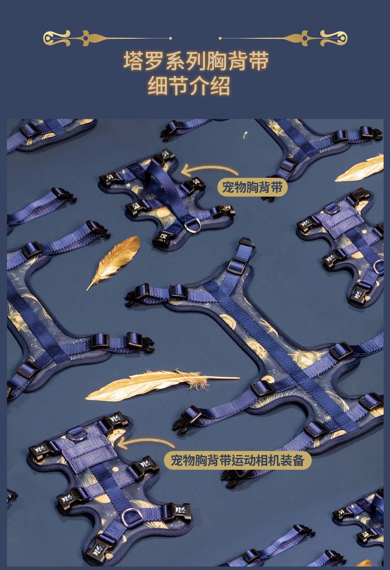 C端-塔罗详情页-中文_04.jpg