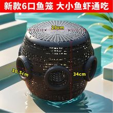 �����~�~�\�~�Wֻ�M�����O�W�S�X���q�r�\���r�W�\�з���~�\�O��