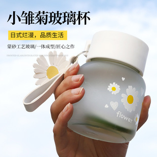 �¿���ɰС�r�����ֱ�300ml��ʽ����ˮ���k���Ҽ��Î��w�ݲ豭��
