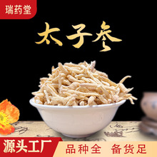 太子参 孩儿参   太子参 无熏硫煲汤太子参 代打粉 量大从优