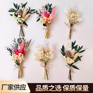 �羳���u�ɻ�����С���� ɭϵ��������� ��Y�ػ��Y�а��ֶY�b�
