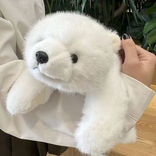 ��ż����������؈ë�q��ż����@���O�������ܹ��Ѓ�ͯ���նY��