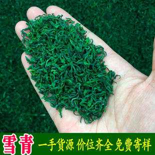 ��Gѩ�� ��ɽ��F �ⶹ�㎧�m�� ���� 2026����ǰ�G���~���l