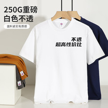 男士纯棉短袖重磅t恤250克落肩纯色半袖宽松青少年夏季服饰打底衫