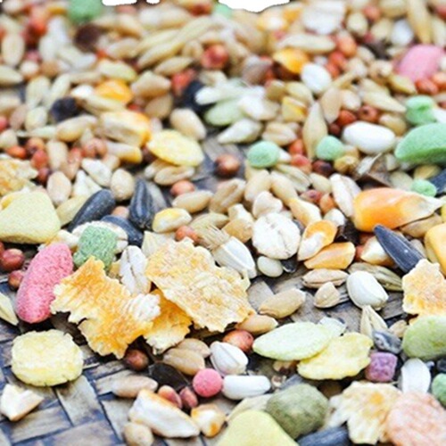 Pet calf bulk grain hamster grain hamster feed flowery rat grain hamster grain large discount 150 grams