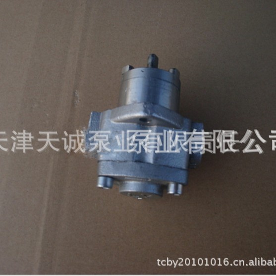 不锈钢转子泵BB-B/内齿泵/摆线泵/润滑泵/小流量泵/耐腐蚀泵