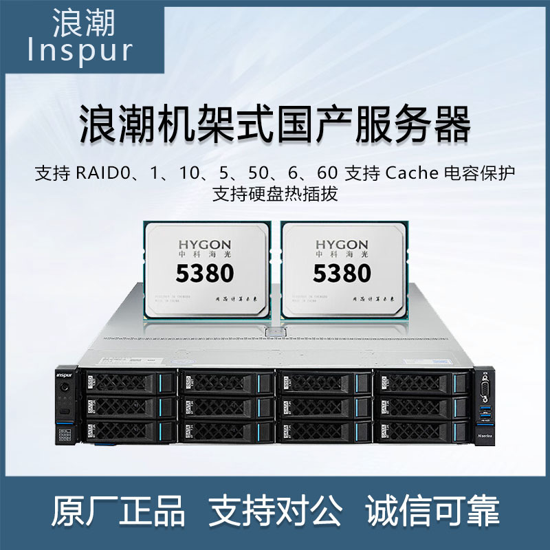 浪潮（INSPUR）CS5260H服务器海光处理器国产信创 2颗C86海光5285