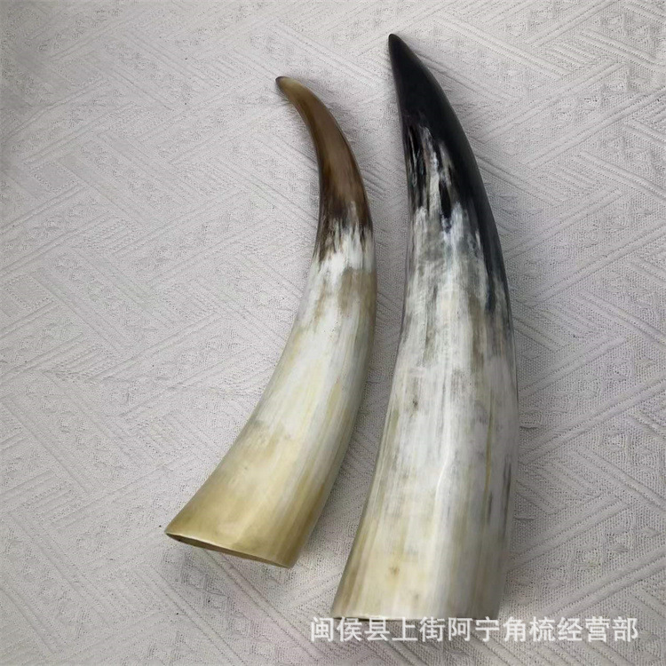 Natural Buffalo Horn Cupping Set 30 Pieces Traditional Massage Tool 30-60cm details