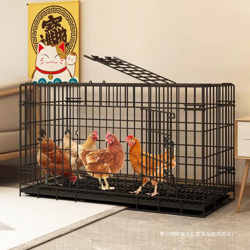 Куриная клетка для домашнего использования. Автоматическая очистка навоза. Куриная клетка. Куриное гнездо.