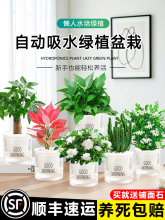 Gֲ҃ȺBˮСֲ͏dk滨ܰlؔG}dl