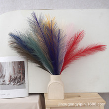 �����JȔ����˹�ݹ�β��6�汱�W�����b� ���R�d�羳��������Ȕ��