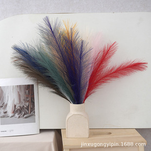 �����JȔ����˹�ݹ�β��6�汱�W�����b� ���R�d�羳��������Ȕ��