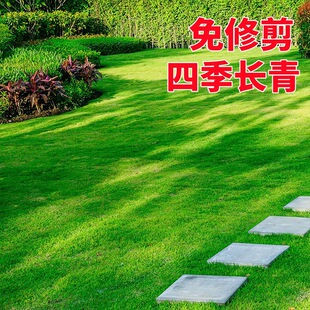 �M��ƺ�N���o���ѾG���������������ļ������é������Ѳ�ƺ�N��