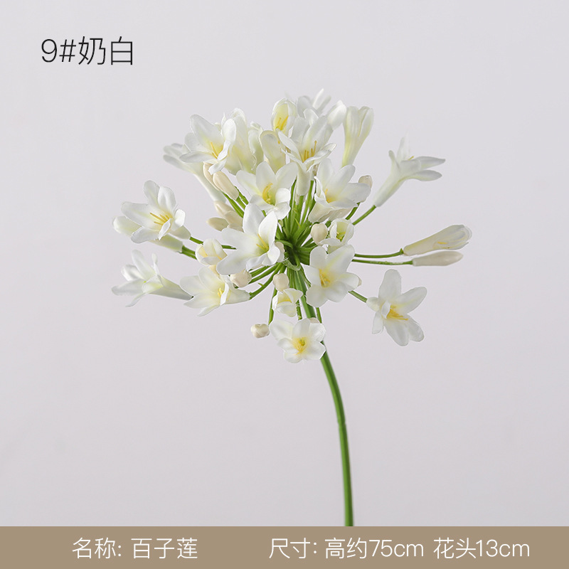 백자련-9#밀크 화이트