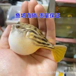 ���R���^��ˮ�����~���R�Ꭷ�����~�^�p�~�����������С���~���w