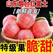代发烟台栖霞红富士苹果脆甜多汁新鲜应季水果整箱包邮全年供应