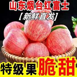 代发烟台栖霞红富士苹果脆甜多汁新鲜应季水果整箱包邮全年供应