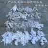 White wedding simulation flower wholesale Korean show wind, white wedding road, flowers, blooming hands, fake flowers