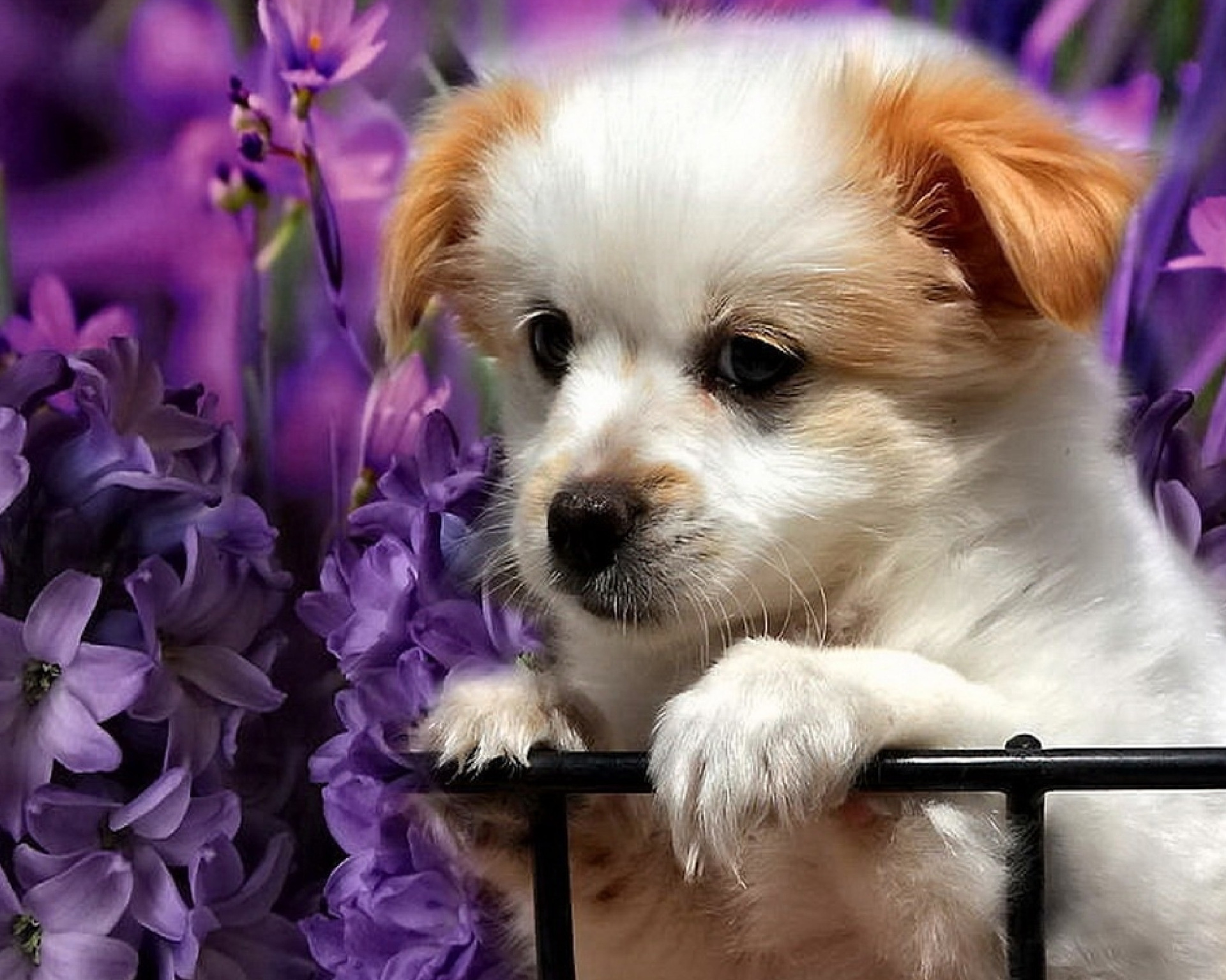 Cross-border 5d Amazon diamante pintura pegatinas hecho a mano DIY animal ladrillo pintura sala de estar pintura decorativa pegatinas al por mayor