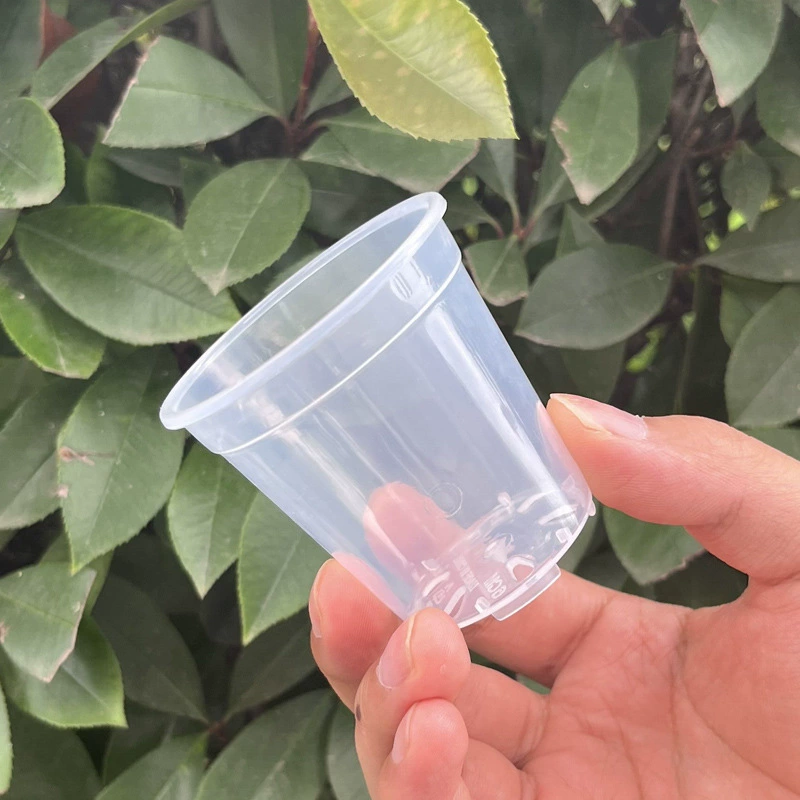 Бабочка Орхидея прозрачный пластиковый цветочный горшок зеленое растение в горшке Дендробиум фаленопсис Роза резка посадка экспериментальный горшок оптовая продажа