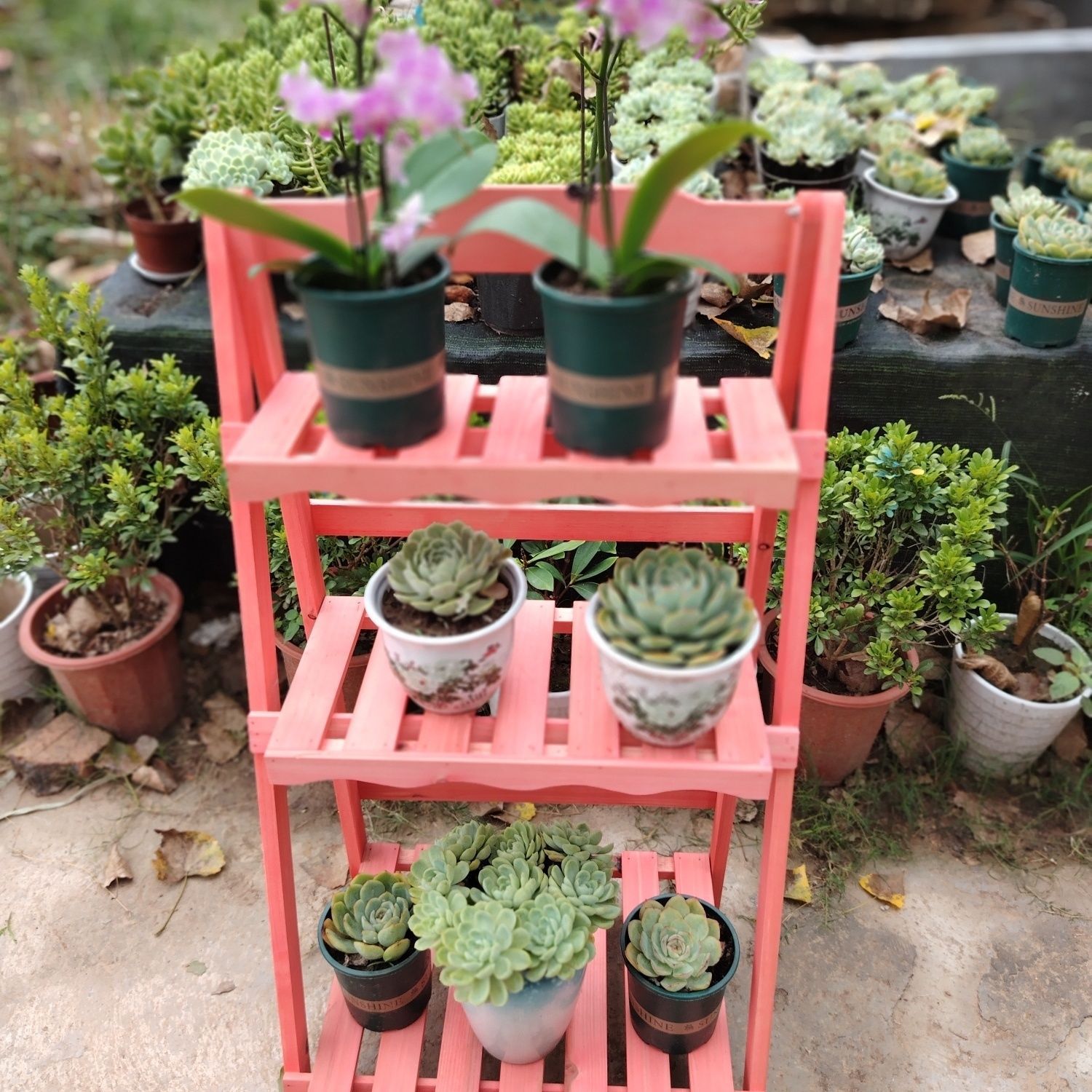 클래식 골판지 꽃 스탠드 레트로 레드