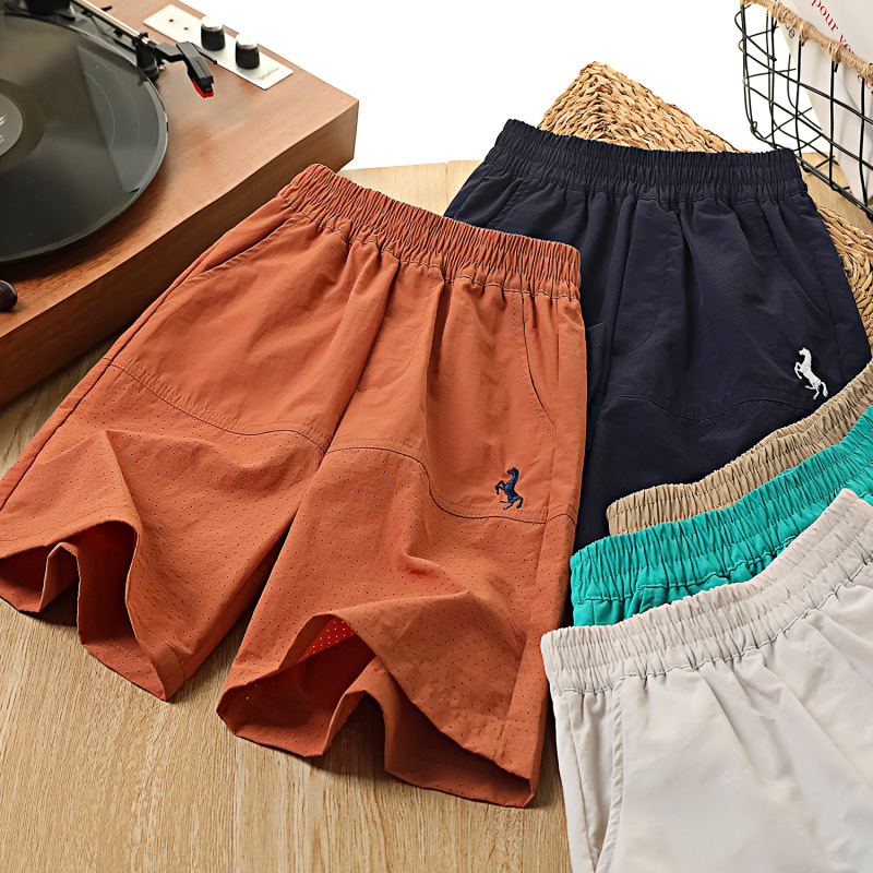 Quick-Dry Shorts for Boys, Summer Thin Loose Breathable Five-Point Pants, Fashionable Embroidered Perforated Casual Quick-Dry Mid-Length Pants P