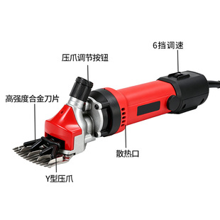 �羳늄���ë�����ʼ��Ì���늼�����ë��ë�C����ë����