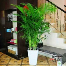 ɢβ������ �Pβ���҃ȿ͏d���;Gֲ �����~�������辰���FҬ����