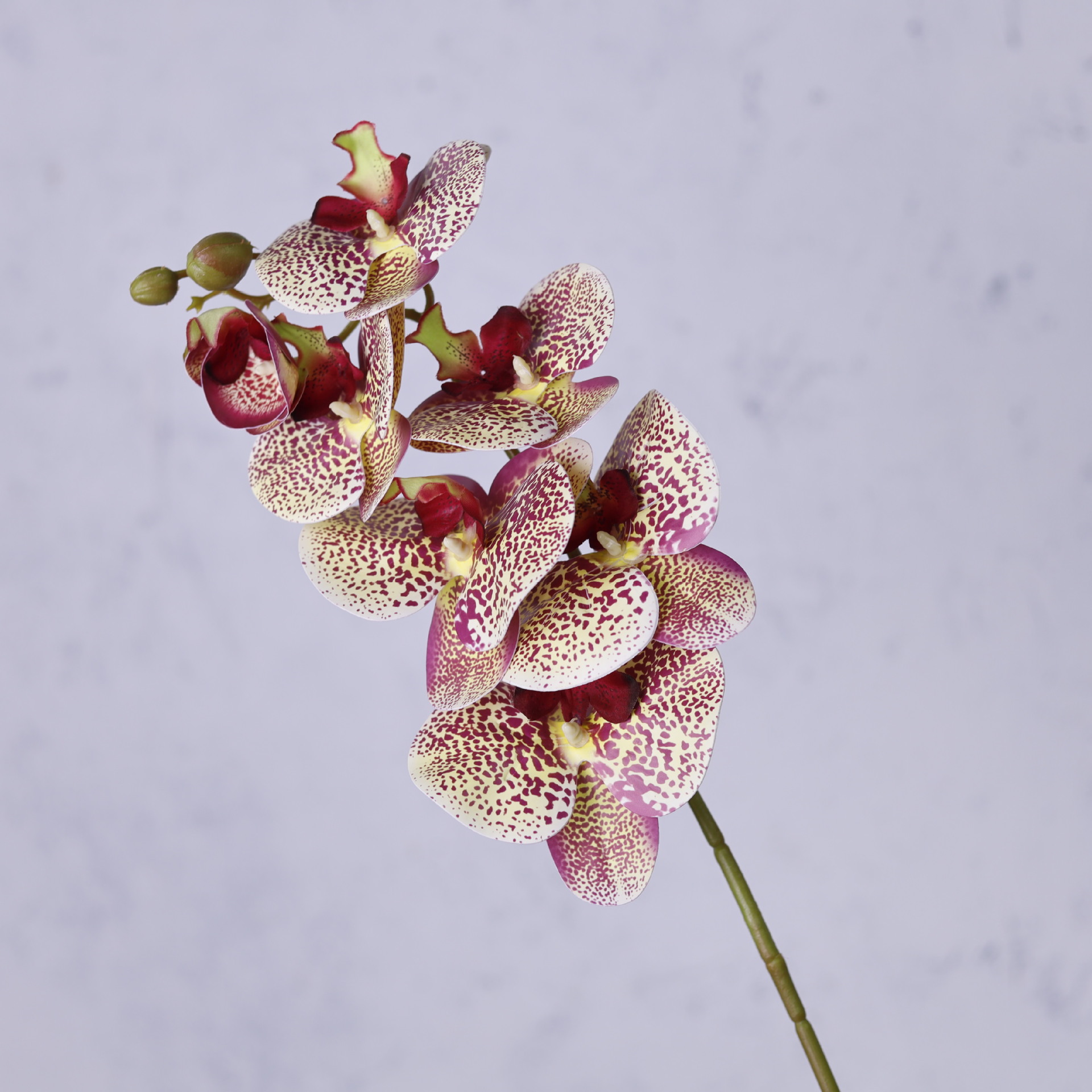 Impresión 3D de 7 cabezas de orquídeas mariposa flor de decoración de flores de alto nivel flor de nicho decoración floral decoración de sala de estar