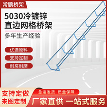 走线弱电桥架50*30*4mm冷镀锌直边网格桥架 机房电缆布线网格桥架