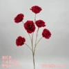 Six happy roses-burgundy