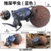 M-2915 Push Shit Beetle (Blue)