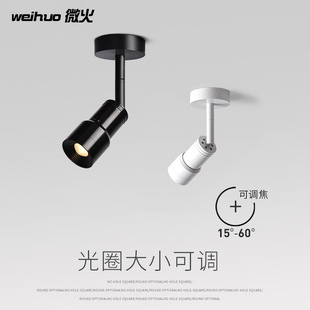 Cob Focusing Spotlight Clothing Store Art Museum High Cri Guide Rail Light Stepless Zoom Spotlight Dimmable