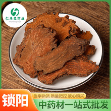 锁阳中草药批发锁阳 金锁阳 锁阳片 产地货源沙漠人参 大货供应