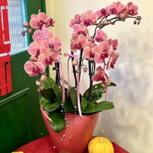 ��ڏ����Q�մɺ��s�OӋ���₀�����ͺ����m����ٴ�����W�t��