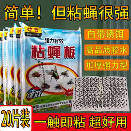 强力粘蝇板20片装  家用苍蝇纸贴加大多胶粘蝇纸灭蝇子纸批发代发