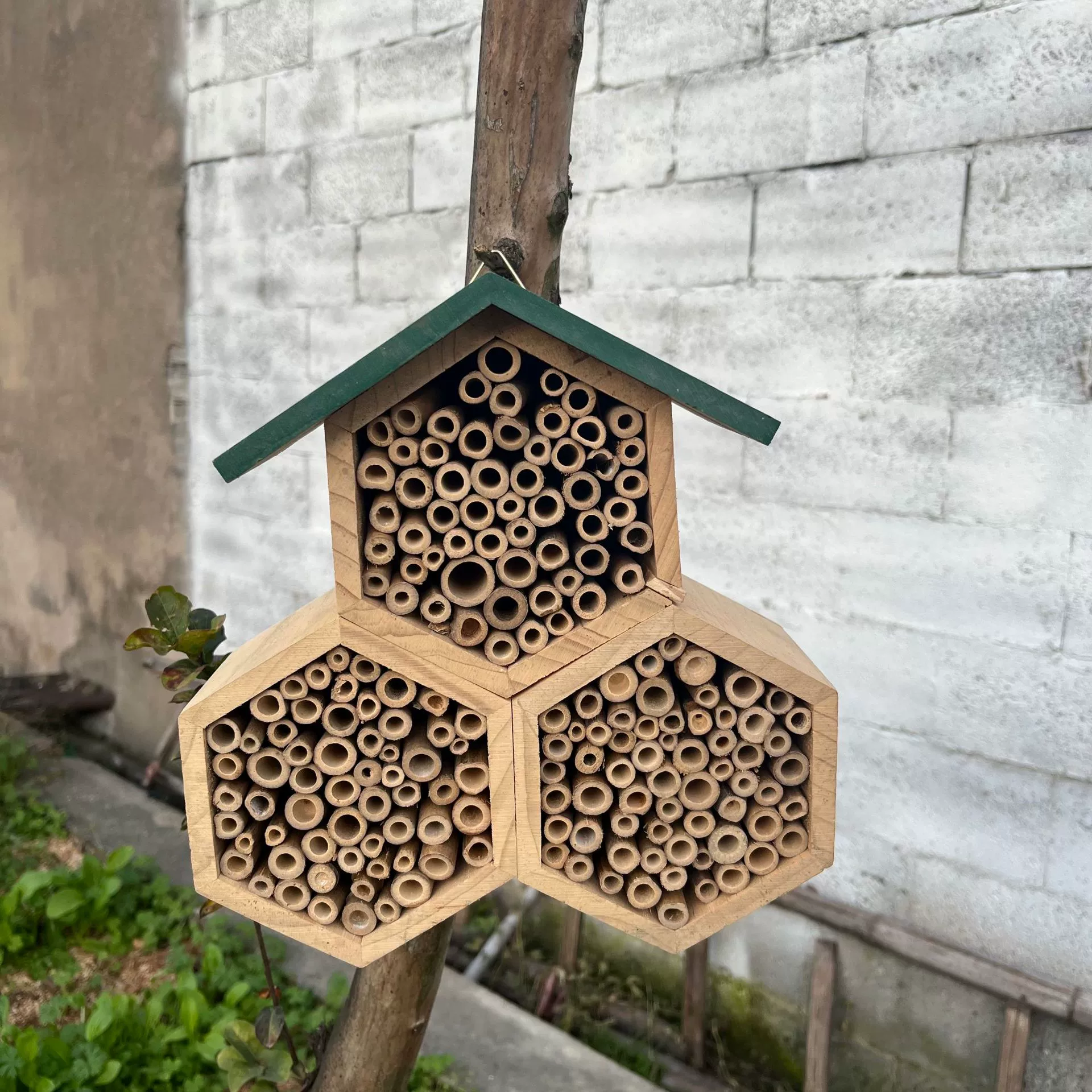 Деревянные обработанные насекомые дома медовые соты